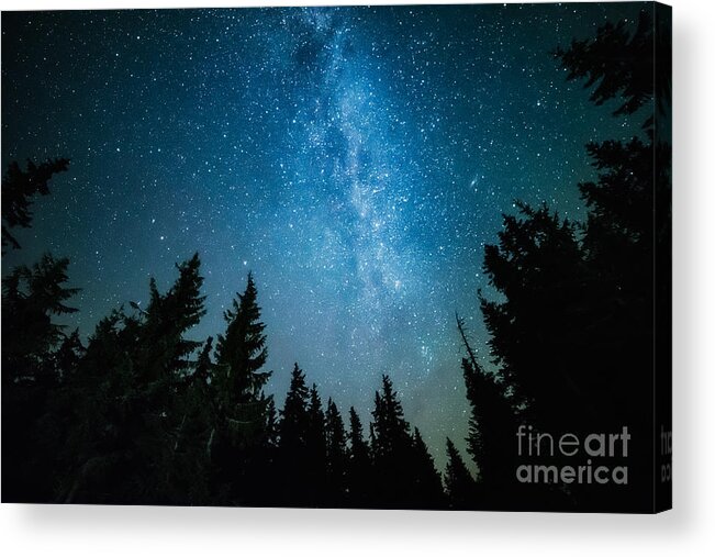 Magic Acrylic Print featuring the photograph The Milky Way Rises Over The Pine Trees by Andrey Prokhorov