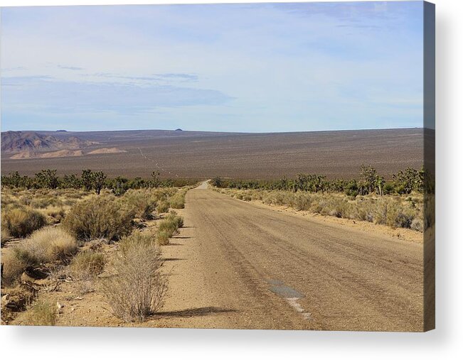Mojave National Preserve Acrylic Print featuring the photograph The Road Less Traveled by Maria Jansson