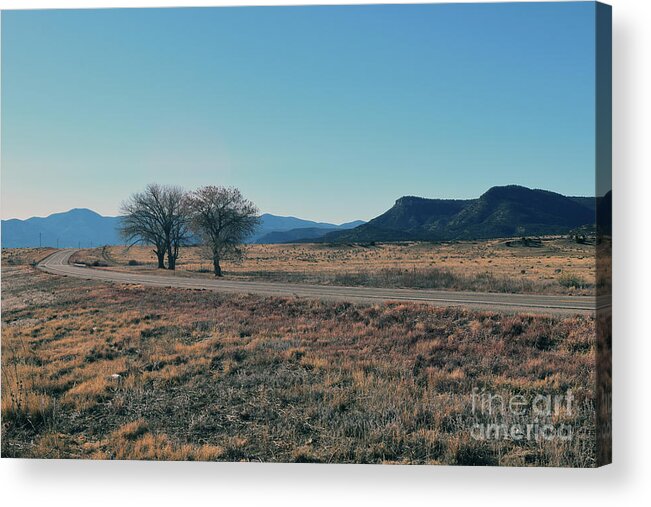 Gorge Acrylic Print featuring the photograph The Road Southwest by Leslie M Browning