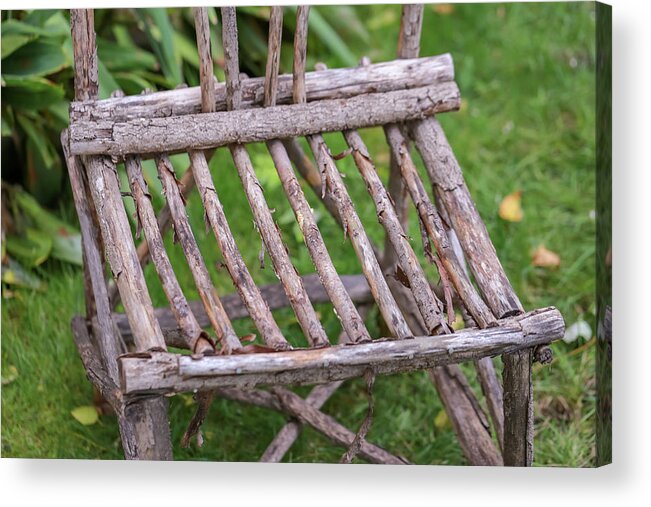 Chair Acrylic Print featuring the photograph The Seat of A Tree Branch Chair by Laura Smith