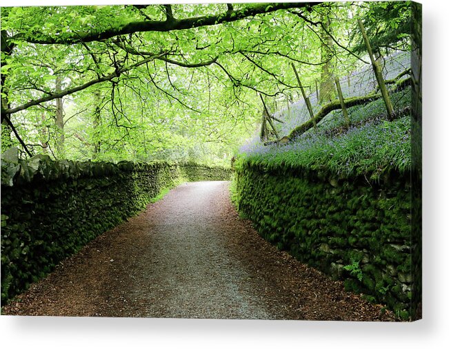 Stroll Acrylic Print featuring the photograph The Stroll by Nicholas Blackwell