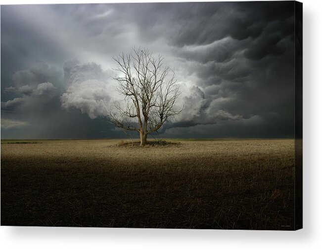 Light Acrylic Print featuring the photograph The Things Dreams Are Made Of by Brian Gustafson