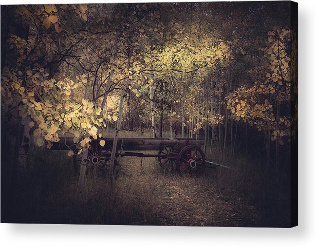 Aspen Trees Acrylic Print featuring the photograph The Wagon by The Forests Edge Photography - Diane Sandoval