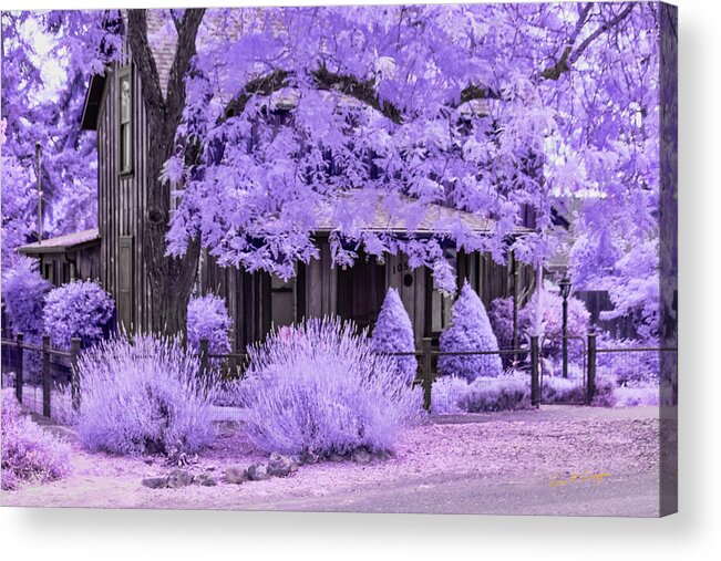 Ir Acrylic Print featuring the photograph Third and D by Dan McGeorge