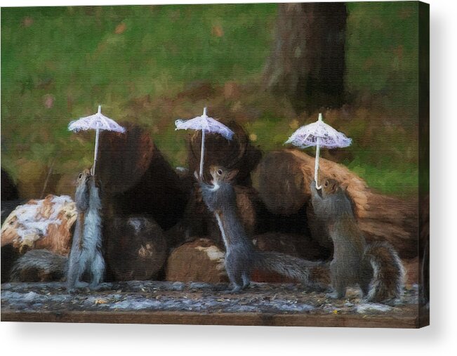 Grey Acrylic Print featuring the photograph Three squirrels holding their umbrellas  paintography by Dan Friend