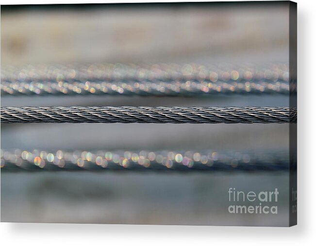 Tight Acrylic Print featuring the photograph Tight Rope by Wendy Wilton
