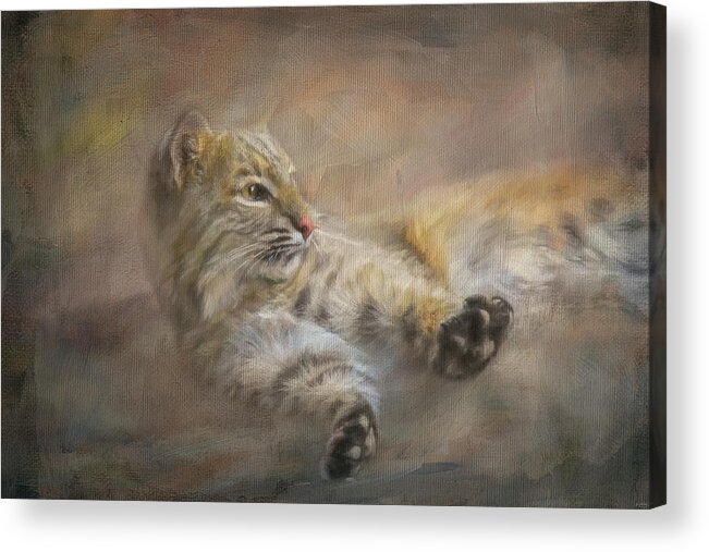 Bobcat Acrylic Print featuring the painting Time To Rise and Shine by Jai Johnson