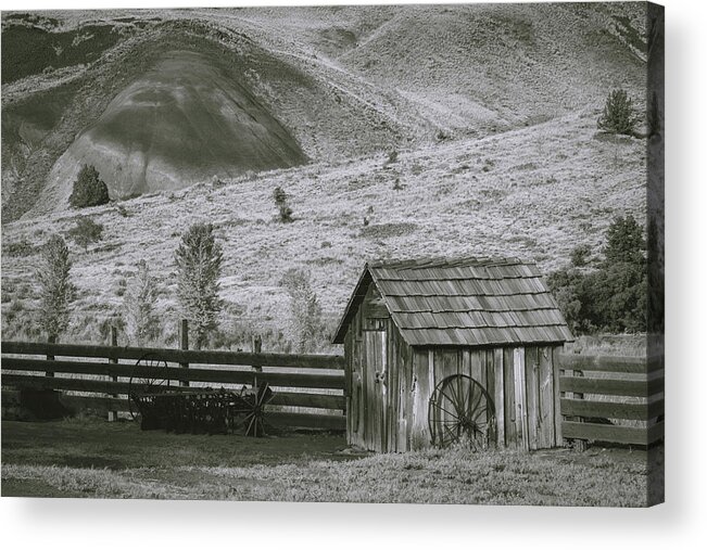 John Day Fossil Beds Acrylic Print featuring the photograph Timeless by Catherine Avilez