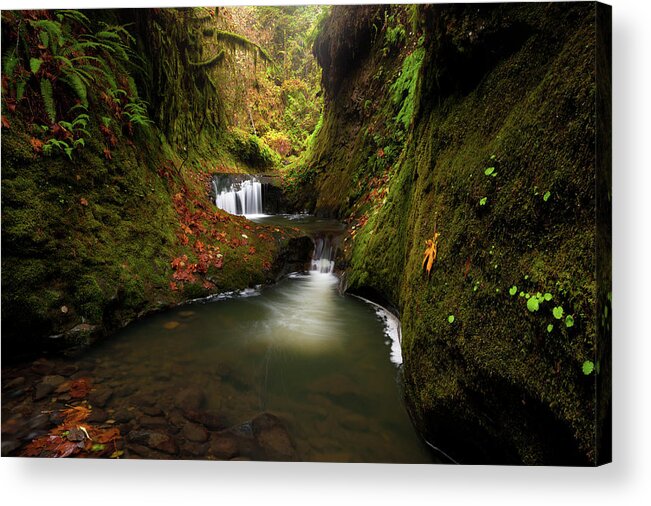 Landscape Acrylic Print featuring the photograph Tire Creek Canyon by Andrew Kumler