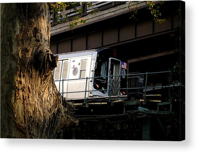 Subway Acrylic Print featuring the photograph Tree and Train by Steve Ember
