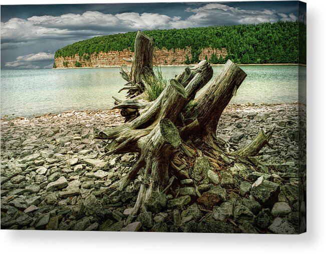 Overcast Acrylic Print featuring the photograph Tree Stump at Fayette Michigan State Park in the Upper Peninsula by Randall Nyhof