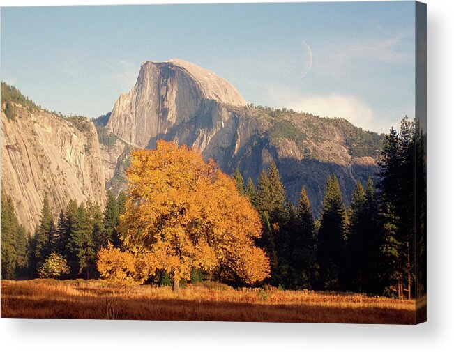 Scenics Acrylic Print featuring the photograph Trees On A Mountain, El Capitan by Medioimages/photodisc