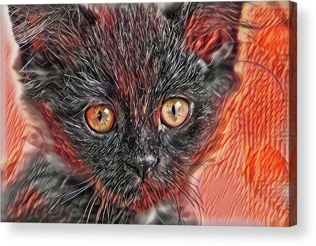 Kitten Acrylic Print featuring the digital art Triangle Face Kitten by Don Northup