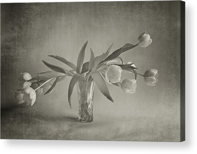 Nottinghamshire Acrylic Print featuring the photograph Tulips In A Vase by Doug Chinnery