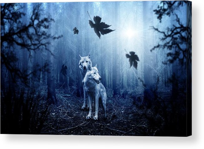 Cute Acrylic Print featuring the photograph Two wolves by Top Wallpapers