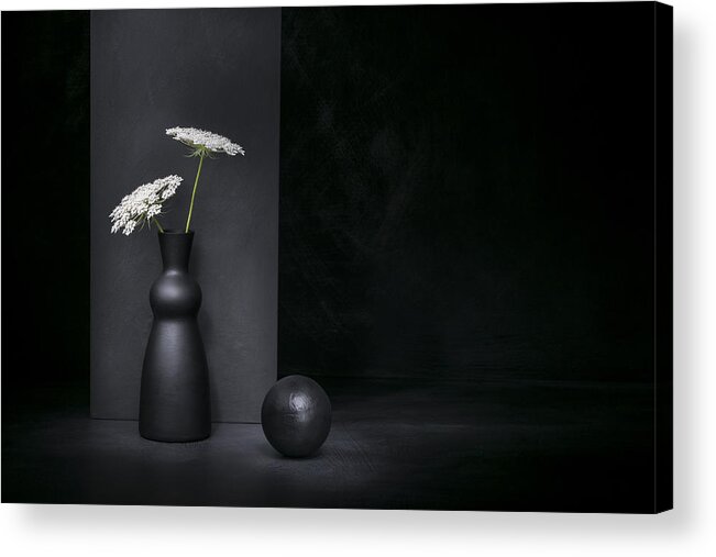 Stilllife Acrylic Print featuring the photograph Umbelliferous by Christophe Verot