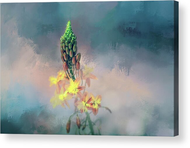 Photography Acrylic Print featuring the digital art Unique Flower by Terry Davis