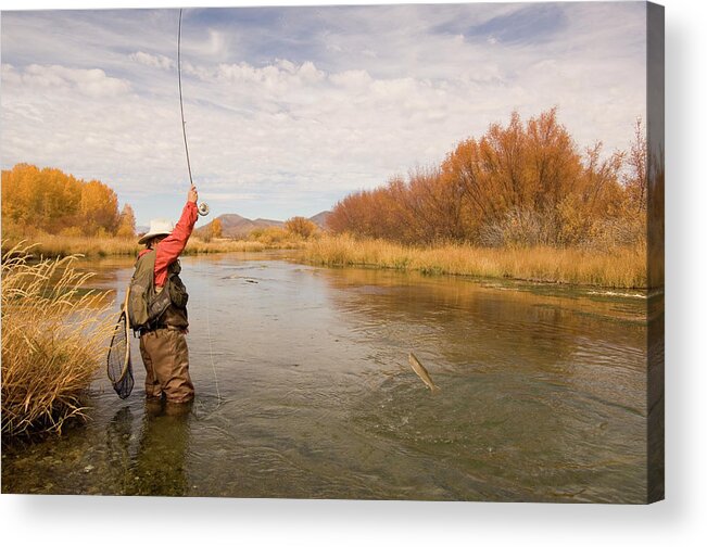 Mature Adult Acrylic Print featuring the photograph Usa, Idaho, Silver Creek, Mature Man by Steve Bly