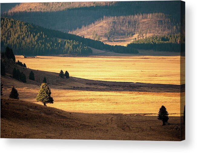 Valles Caldera National Preserve Acrylic Print featuring the photograph Valles Caldera Detail by Jeff Phillippi