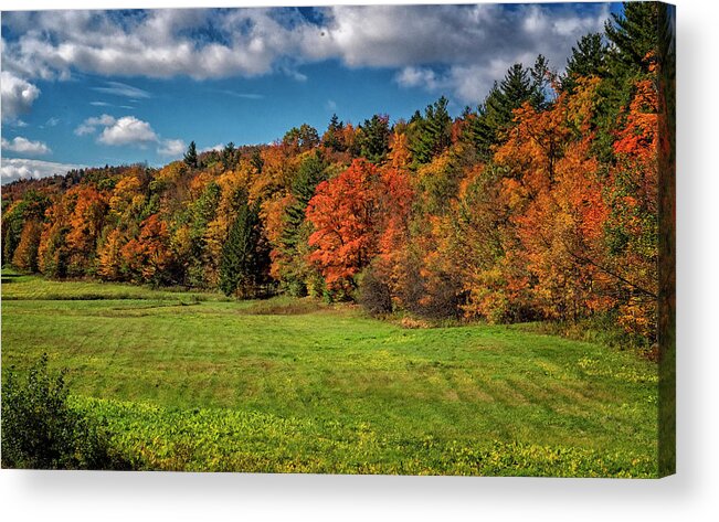 Hayward Garden Putney Vermont Acrylic Print featuring the photograph Vermont Autumn Colors by Tom Singleton