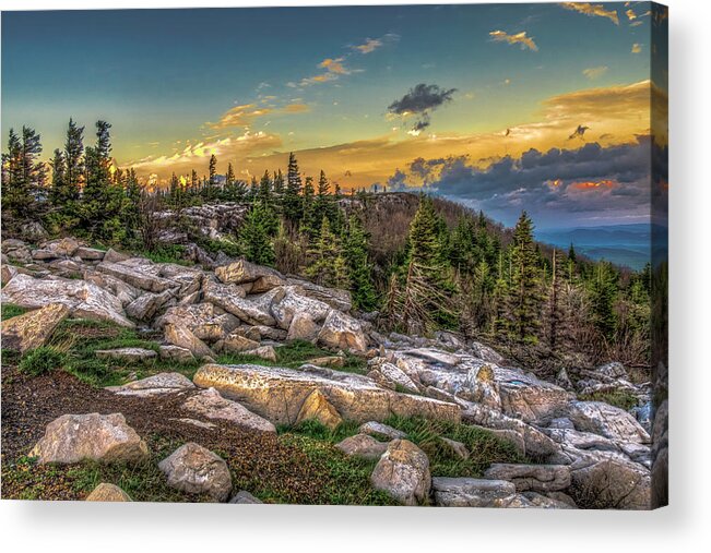 Landscapes Acrylic Print featuring the photograph View from Dolly Sods 4714 by Donald Brown