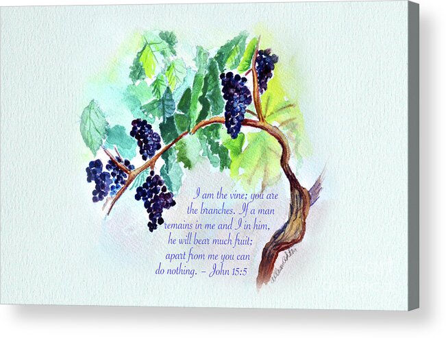 Vine Acrylic Print featuring the painting Vine and Branch with Scripture by Allison Ashton