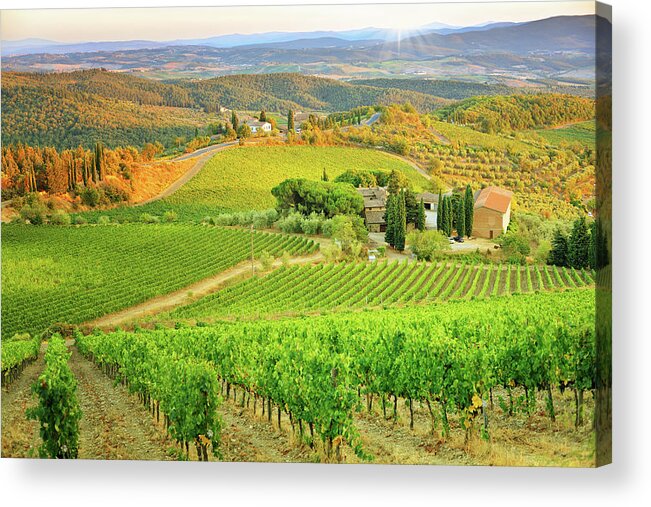 Environmental Conservation Acrylic Print featuring the photograph Vineyard Sunset Landscape From Tuscany by Csondy