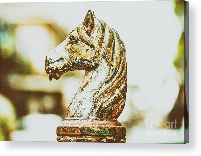 Horse Acrylic Print featuring the photograph Vintage New Orleans II by Scott Pellegrin