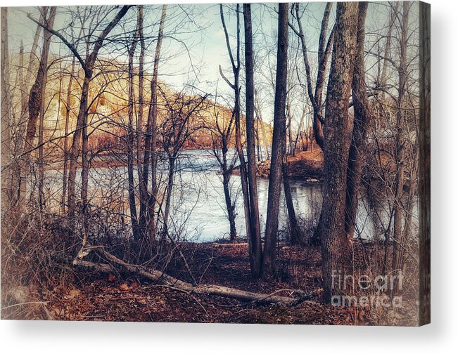 The New River Acrylic Print featuring the photograph Watching The River by Kerri Farley