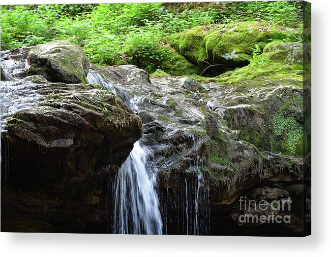 Water Acrylic Print featuring the photograph Water And Moss by Phil Perkins