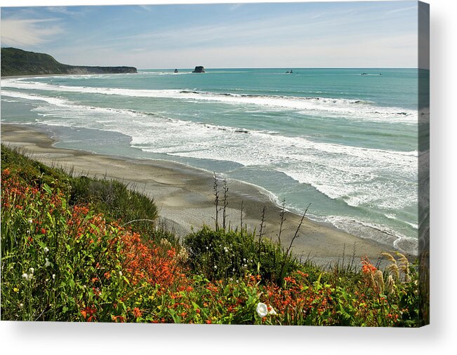 Water's Edge Acrylic Print featuring the photograph West Coast Of South Island, Tasman Sea by Michele Westmorland