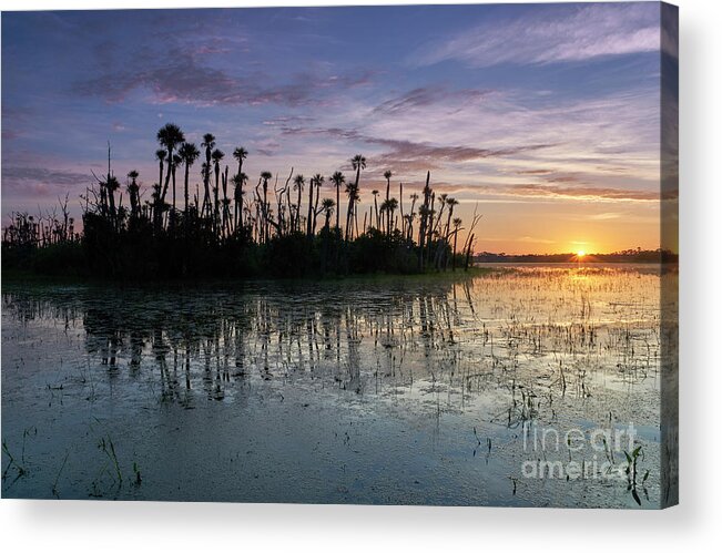 A Vibrant Sunrise In The Beautiful Natural Surroundings Of Orlando Wetlands Park In Central Florida. The Park Is A Large Marsh Area Which Is Home To Numerous Birds Acrylic Print featuring the photograph Wetland Beauty by Brian Kamprath