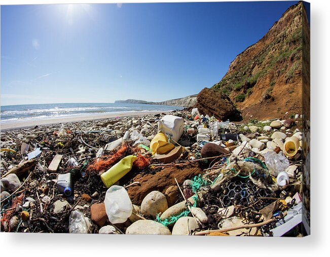 Environmental Damage Acrylic Print featuring the photograph What Waste by S0ulsurfing - Jason Swain