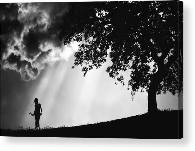 Silhouette Acrylic Print featuring the photograph Where Else Should I Go. by Djeff Act