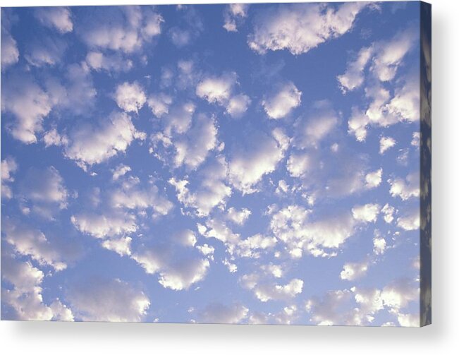 Tranquility Acrylic Print featuring the photograph White Cumulus Clouds by Visionsofamerica/joe Sohm