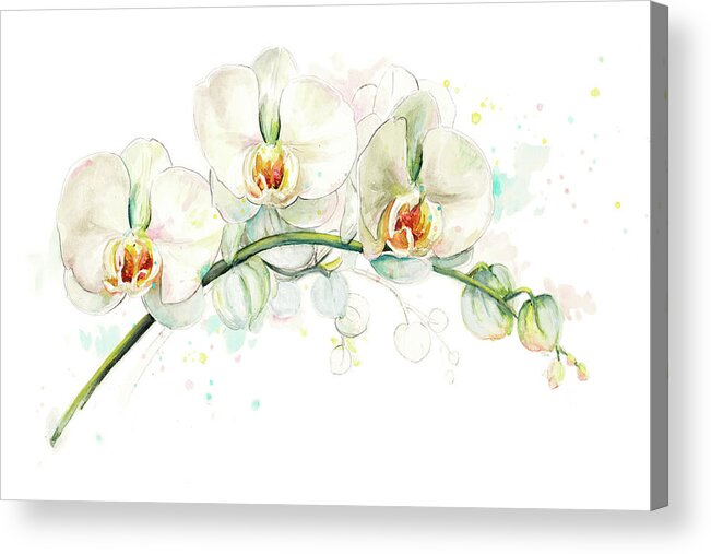 White Acrylic Print featuring the painting White Orchids by Patricia Pinto