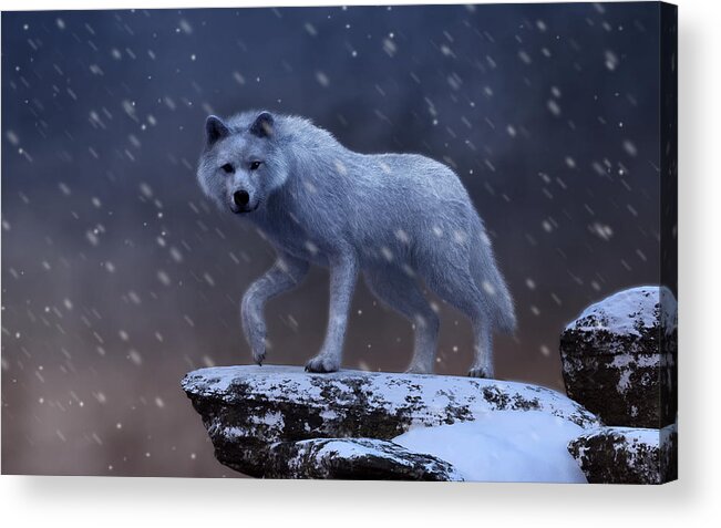 White Wolf Acrylic Print featuring the digital art White Wolf in a Blizzard by Daniel Eskridge