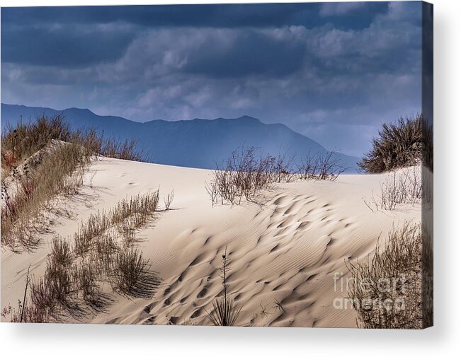 Whites Sands National Monument Acrylic Print featuring the photograph Whites Sands National Monument #2 by Blake Webster