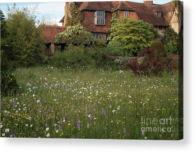 Wildflower Acrylic Print featuring the photograph Wildflower Meadow, Great Dixter by Perry Rodriguez