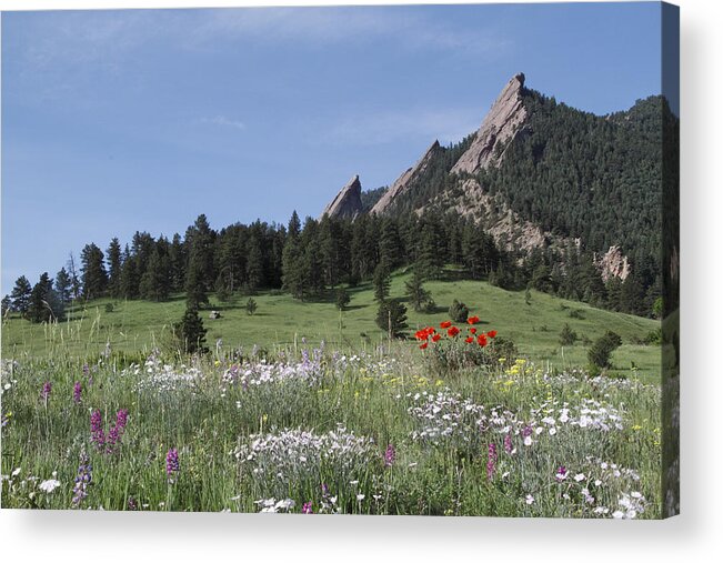 Tranquility Acrylic Print featuring the photograph Wildflowers And The Flatirons by John Kieffer