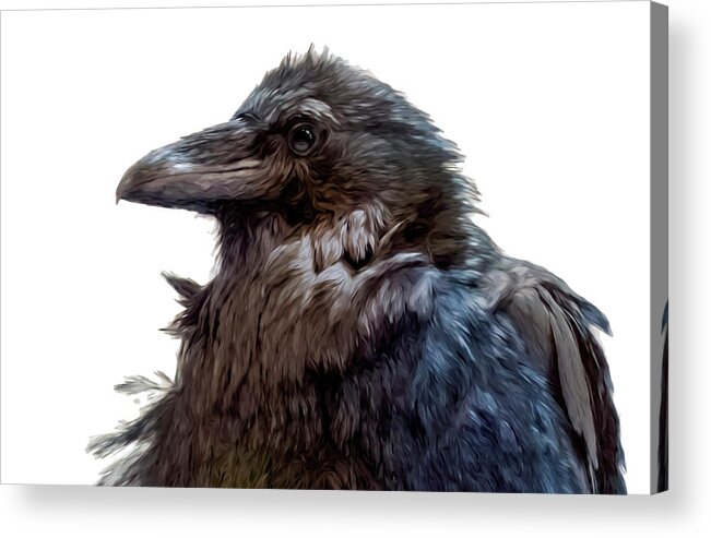 Raven Mug Gift Acrylic Print featuring the painting Wiley Raven by Jeanette Mahoney