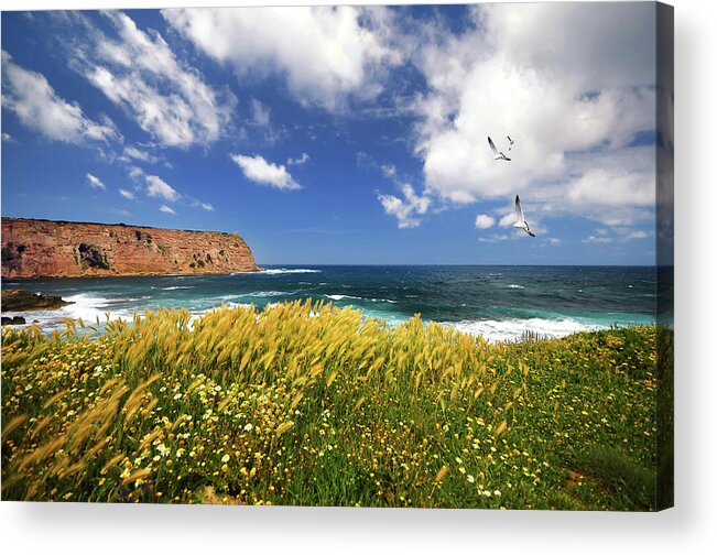 Scenics Acrylic Print featuring the photograph Winds From Sea by Philippe Sainte-laudy Photography