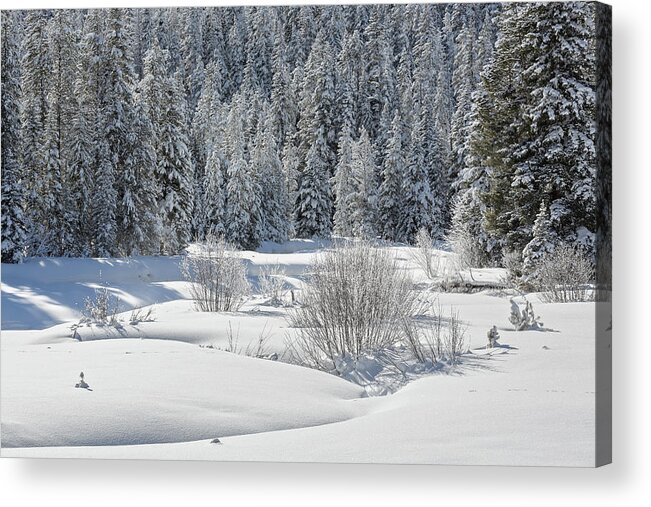 Yellowstone National Park Acrylic Print featuring the photograph Winter At Warm Creek by Ann Skelton