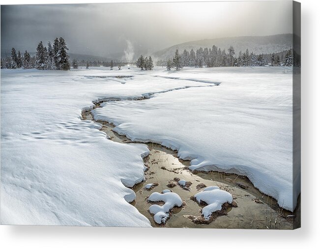 Landscape Acrylic Print featuring the photograph Winter At Yellowstone by Li Qun Xia