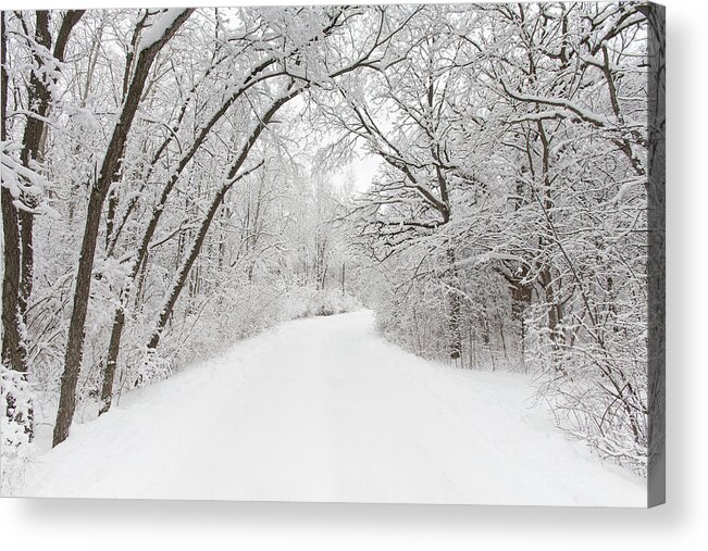 Tranquility Acrylic Print featuring the photograph Winter Country Road by Timothy Hughes