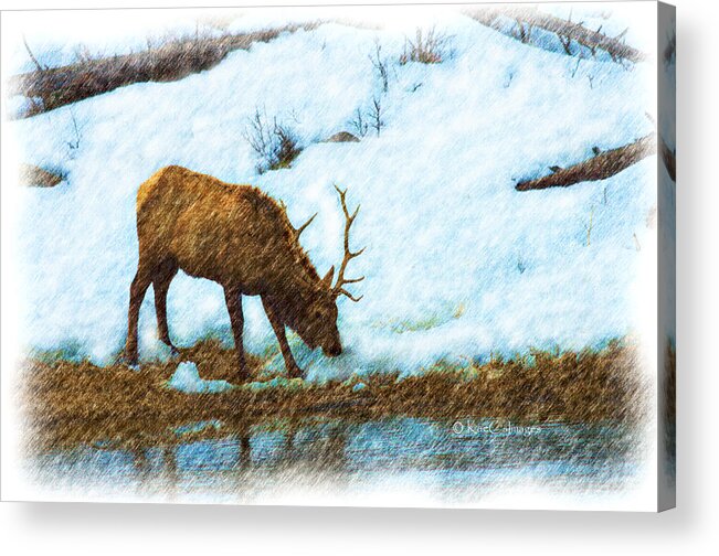 Elk Acrylic Print featuring the photograph Winter Elk by River by Kae Cheatham