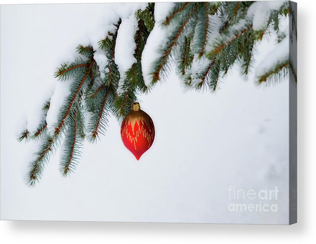 Tree Acrylic Print featuring the photograph Winter Finery by Deb Halloran