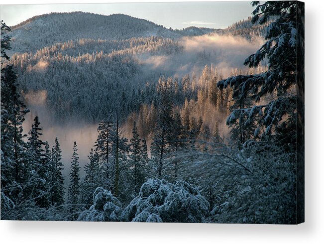 Scenics Acrylic Print featuring the photograph Winter Forest In Yosemite by Mitch Diamond