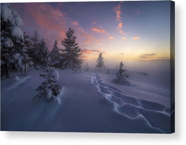 Winter Acrylic Print featuring the photograph Winter Steps by Ole Henrik Skjelstad