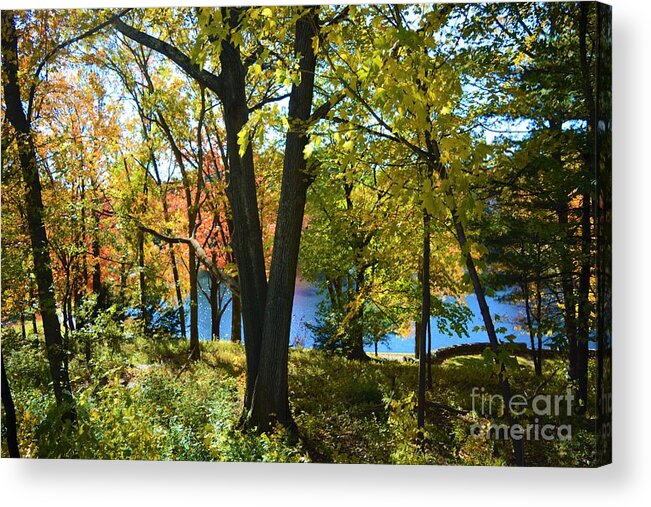 Trees Acrylic Print featuring the photograph With Trees and Water by Dani McEvoy